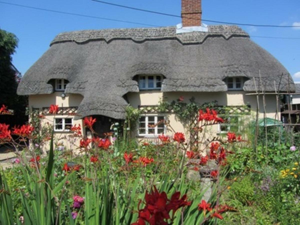 The Stable Villa Eastleigh Bagian luar foto